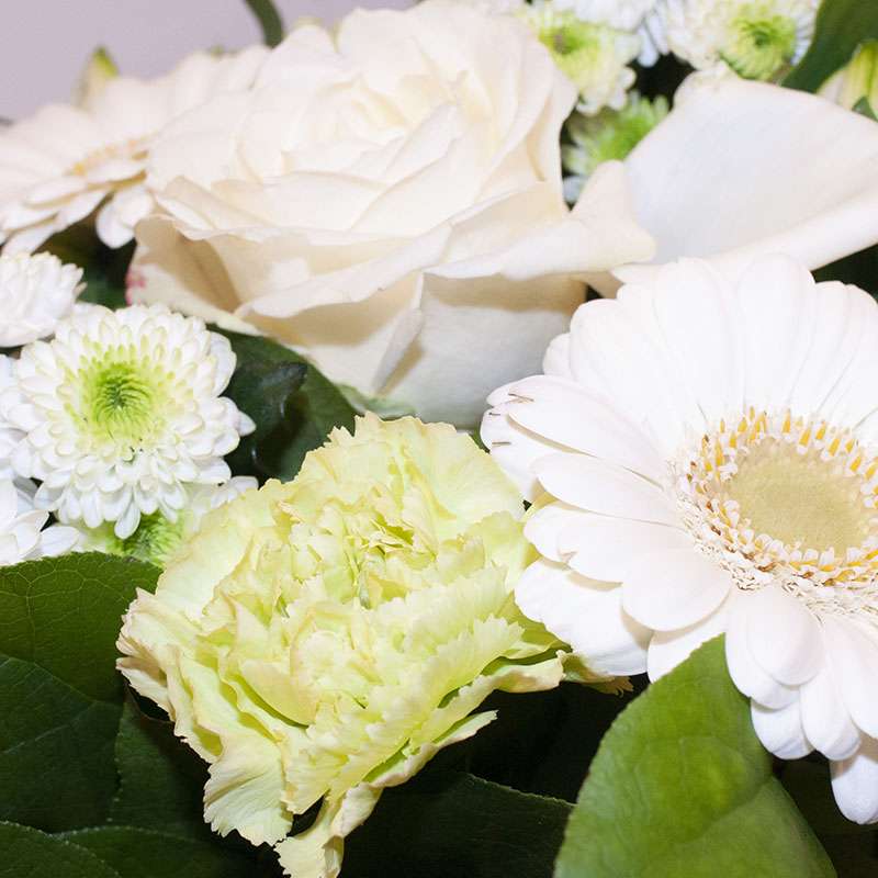 Bouquets et Compositions